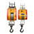 小金刚电动葫芦220V家用便携式小型电动吊机悬挂升降吊运机吊空调 2用款无线遥控