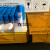 山东新华牌 压力蒸汽生物指示剂ATCC7953生物指示剂嗜热芽孢 美国3M指示剂(100支/盒)