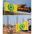 军楚4号旗安全旗帜黄底警示旗工厂生产车间建筑工地旗帜