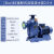 BZ自吸泵380v管道泵ZW直联式卧式管道离心泵三相农用大流量污水泵 65BZ25-20-3