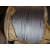 304不锈钢钢丝绳吊绳牵引挂画绳 包塑钢丝绳 1.2mm1.5mm2mm3mm5mm 2mm（10米）