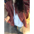 妙格森小个子外套矮个子潮流韩版美式复古红色格子长袖衬衫女2024春秋季 红格子 M