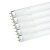 艾利亮 灯管 T8日光老式日光灯荧光灯格栅灯管1.2米36W白光6500K