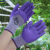工用女士款小码手套 种花园艺搬货耐磨防割防滑透气乳胶薄款手套 女士款HPPE防割PU涂层手套7号S 均码
