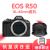 CANON全新 佳能EOS R50 微单相机 防抖视频vlog高清相机 佳能r50国际版 黑色R50机器+RF18-45镜头 标配+128G内存卡+相机包