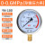仪表不锈钢耐震压力表yn100油压液压表1.6mpa带油气压表 0-0.6MPA=6公斤 M20*1.5