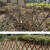 YUETONG/月桐 草坪花园围栏竹栅栏竹篱笆 YT-ZWL1 高1m 展开长1.8m 绿色 