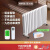 纳仕达电热注水暖气片智能插电取暖器全屋散热器节能电暖器 智享WIFI款（双十六柱）