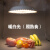 新款高显led隐形红光生鲜灯卖冷鲜猪肉超市场专用照水果熟食吊灯定制 暖白光照熟食