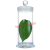玻璃标本瓶加厚标本缸植物样品瓶展示瓶病理瓶福尔马林液浸泡瓶 90*300mm【高硼硅】约1640ml