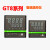 GT8智能高精度温控仪pid调节输入模拟量输入485通信 GT8-ETL210-C000-X逻辑电平