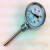 指针双金属温度表WSS-411双金属锅炉管道工业温度计径向 杆长5厘米 0-50°C