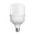 卡迪之光-新钻石柱泡灯led灯泡高亮室内照明 5W 6500K白光 E27螺口  (计价单位：个) 白色