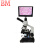 BM彼爱姆视频生物显微镜XSP-BM-1CAP(配7吋显示屏) LED光源 Y型镜筒 单目4个物镜 1600倍