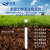 云灵土壤墒情检测站农田土质酸碱度传感器GSSQ05多层土壤水分监测 五层管式土壤温湿度 