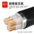 珠江电缆YJV22国标2 3 4 5芯4 6 10 25 35平方芯铠装电线 YJV22 国标5芯X10平方 1米