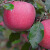 图石果记烟台红富士苹果 5斤特大果(约8个)脆甜苹果 年货礼品团购YQ07704