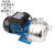 广东凌霄泵BJZ037-B/075/100/150射流不锈钢自吸泵家用自来水增压 ABJZ150-BK 自动