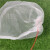 奕澜尼龙防虫网袋 果蔬种子套袋 防冲眼网袋 YL5710-1纱网袋（100个）15*10CM
