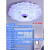 LED吸顶灯现代简约客厅卧室灯大气蓝牙婚房间2021年圆形灯具 花开富贵50cm三色语音款