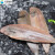 鹿凌青 深海大龙利鱼 冰鲜舌头鱼 歪嘴鱼 鱼类 海鲜2-3.5斤【非养殖】 【鲜冻】龙利鱼（500-600g） 1条