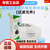 3701cn过滤棉3200防尘面具kn95防毒面罩口罩防尘防工业粉尘过滤棉 10片六层-厚款
