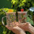 奶茶杯可循环创意新款高硼硅透明玻璃杯可爱水果高颜值家用果汁杯吸管杯大容量 西瓜 杯+陶瓷盖+吸管+吸管刷