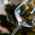 肖特圣维莎（SCHOTT ZWIESEL） 德国进口 无铅水晶红酒杯 高脚杯葡萄酒杯套装设计奖灵魂系列 白葡萄酒杯(散买无盒) 406ml 1只