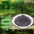 安赛瑞 草木灰 改善土壤酸碱度 秸秆稻草灰 5斤 7C00064