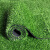 科力邦（Kelibang）高15mm 绿草坪 清洁草皮围挡 每卷2*25m  每平米价格 整卷发货 KBQ028（客户团单专拍）