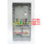 CHNT透明三相1户塑料电表箱套装 动力电表箱380V三相四线成 100A整套不含电表上海一德开关