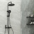 法恩莎卫浴淋浴器龙头花洒喷头套装浴室沐浴家用卫生间淋浴喷头 方圆款曜黑FE07H205SC