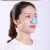 LISM鼻孔过滤器护鼻子防尘猪鼻子口罩电焊工鼻罩鼻套透气 宽型号100片防尘棉无鼻罩