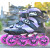 酷秀JU-F碳纤平花轮滑鞋KSJ花式HV儿童刹车专业溜冰鞋直排男女成 碳纤鞋紫色鞋+扳手 35
