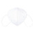 星彩KN95立体式防护口罩五层过滤熔喷活性炭防尘亲肤500只/箱白色款 1箱/件