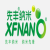 XFNANO；氨基实心二氧化硅纳米颗粒（粉末）XFF31-5 103820；250mg