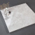宏宇陶瓷（HONGYU CERAMICS） 全抛釉瓷砖大理石客厅地板砖800x800广东灰色地砖 HPG80159