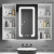 TIFICY浴室镜柜挂墙式单独智能带灯除雾厕所置物箱卫生间镜子收纳一体柜 白色55CM带灯+除雾