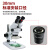 VEINLAN金相体视显微镜目镜配件广角10倍接口直径30mm WF10X/20舜宇目镜（单只）