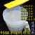 950#乳白色半透明工业级硅胶 环氧树脂硅胶模具硅橡胶固化剂 半透明30克