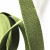 希万辉 帆布背包织带打包带马扎带捆绑带 军绿色4cm*20m/盘-厚度2mm