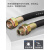 BNG防爆挠性连接线管DN15电缆穿线PVC防爆金属软管螺纹4分6分1寸 螺纹口径 管长度单位mm
