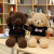 本特熊 穿衣泰迪熊抱抱熊公仔毛绒玩具熊大号布娃娃玩偶女生情人节礼物 浅棕海藻熊/美国毛衣 1.8米