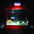 海藻球生态缸DIY微景观生态瓶水培球藻创意迷你植物盆栽节日礼物 嘉瑰 小煤球房子(3岁*2)