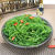 欧因龙须菜海菜石花菜食材发菜长寿海草海产品 鲜木鲜木 2斤