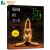 包邮 艾扬格全2册 瑜伽的艺术+传承之光 瑜伽花环作者B.K.S.艾扬格 著 艾扬格瑜伽入门教程书籍套装