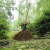 竹扫把 竹扫把农村老式竹丝扫帚笤帚户外庭院环卫通用大扫把扫院子JYH 布扎竹丝 1.5米宽60厘米