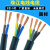 渤通缆国标珠江RVV电缆电线2芯3芯0.7511.5 2.5 46平方纯铜电源线护套线 国标 3芯2.5平方(10米)