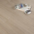 贝尔（BBL）【门店同款】贝尔地板强化复合木地板12mm 耐磨防水 十二星座系列 SKY007