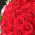 浪漫季节鲜花速递同城配送33朵红玫瑰花束表白求婚女友老婆生日礼物全国 11朵红玫瑰花束-生日款 今日达-【可预约送花时间】